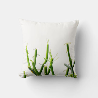 Coussin Amour vert