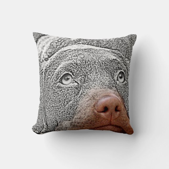 Coussin Amusants sélectif couleur chien photo Accent Couss (Recto)