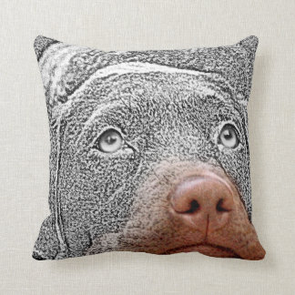 Coussin Amusants sélectif couleur chien photo Accent Couss