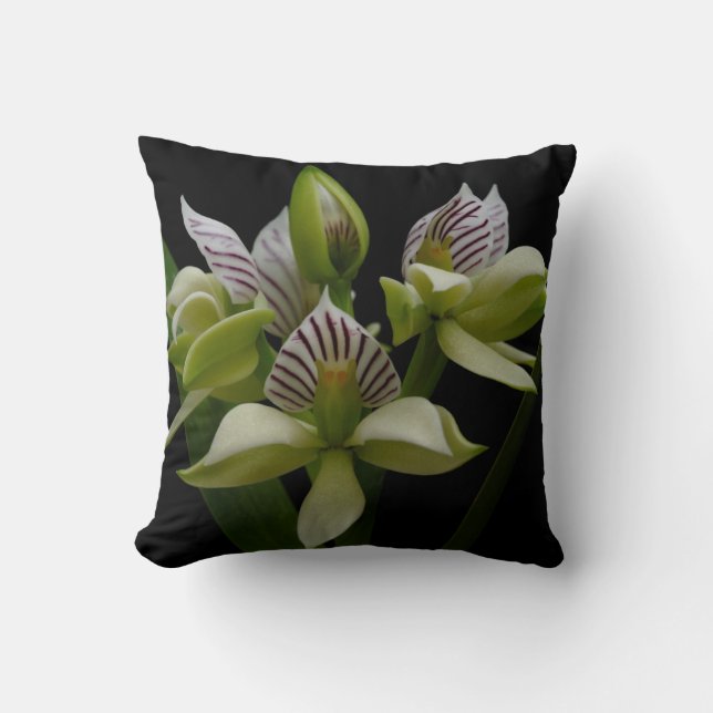 Coussin Anacheilium Chacoense (Recto)