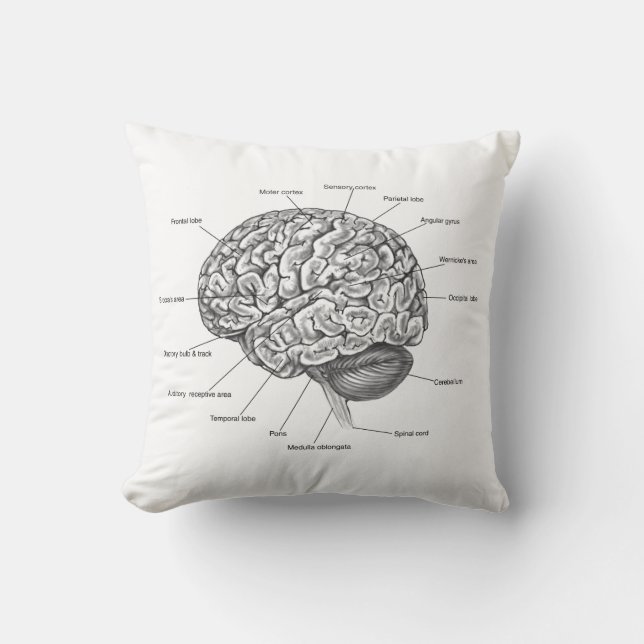 Coussin Anatomie de cerveau (Recto)