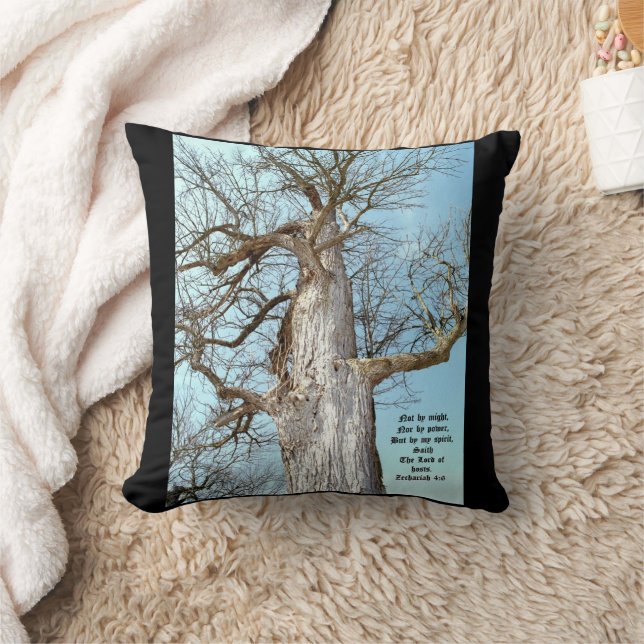 Coussin Ancien Ash Zacharie 4:6 (Couverture)
