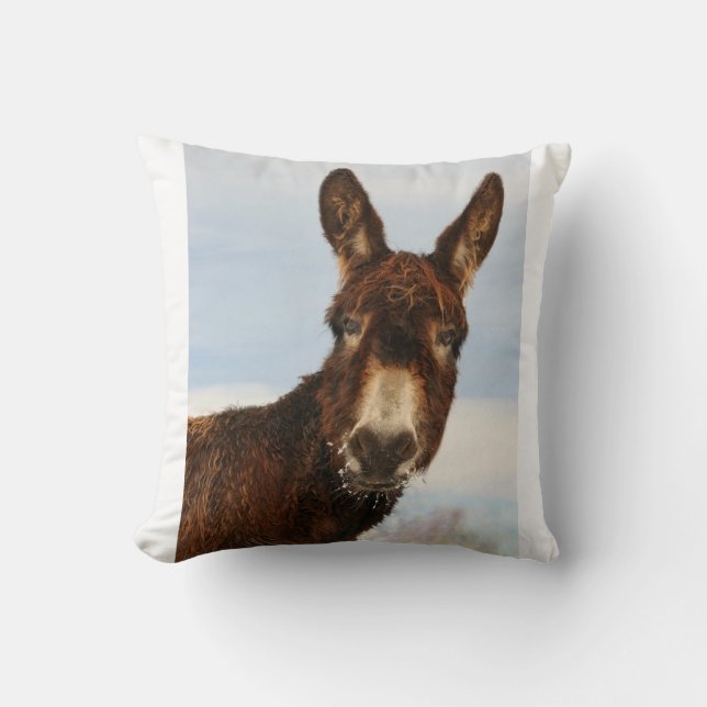 Coussin Âne d'hiver (Recto)