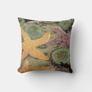 Coussin Anémones géantes vertes et étoiles de mer ocres