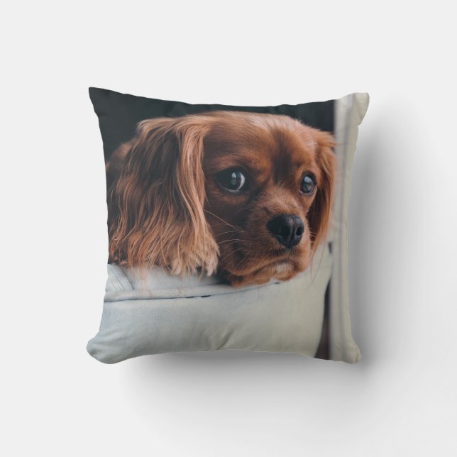 Coussin Animal de compagnie personnalisé (Recto)
