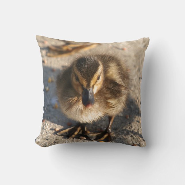 Coussin animal de faune d'oiseau de canard de bébé (Recto)