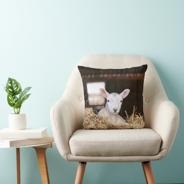 Coussin Animaux de bébés cutest | Agneau nouveau-né (Chaise)