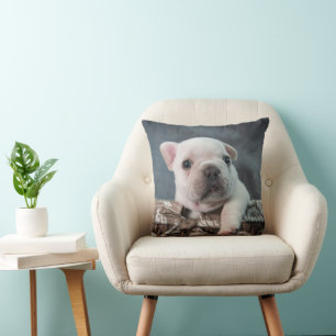Coussin Animaux de bébés cutest French Bulldog