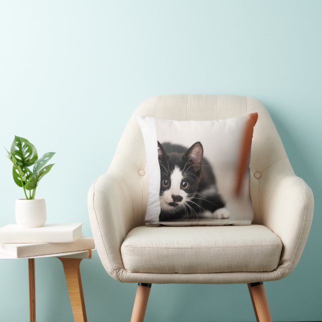 Coussin Animaux de bébés cutest | Kitten noir et blanc (Chaise)