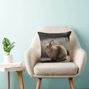 Coussin Animaux de bébés cutest   Lapin nain de Pays-Bas