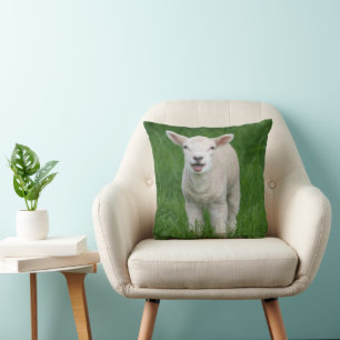 Coussin Animaux de bébés cutest   Lil Lamb