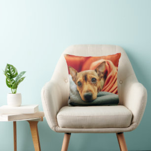 Coussin Animaux de bébés cutest   Miniature Pinscher