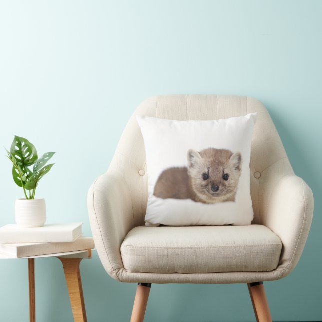 Coussin Animaux de bébés cutest | Pine Marten (Chaise)