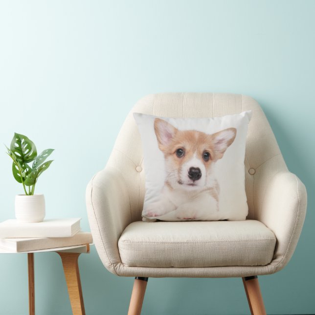 Coussin Animaux de bébés cutest | Sweet Baby Corgi (Chaise)