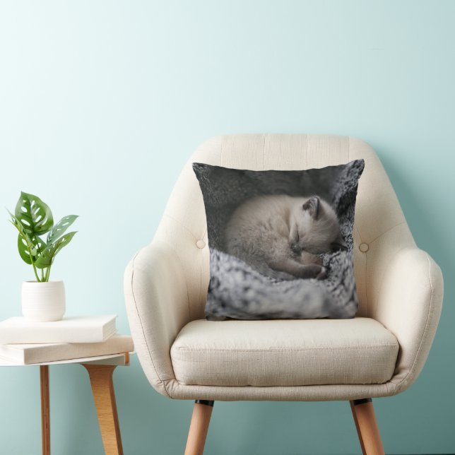 Coussin Animaux de bébés cutest | Tiny Kitten Dormir (Chaise)