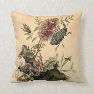 Coussin Antique Nature Beetles Bugs