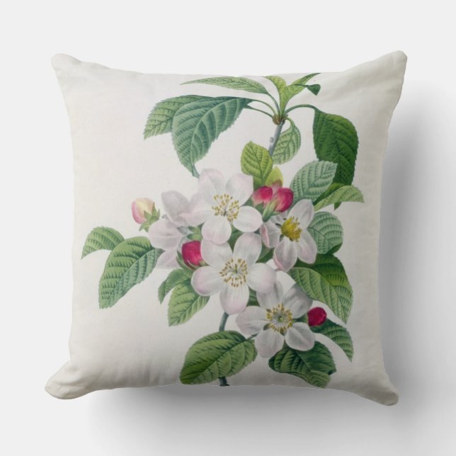 Coussin Apple fleurissent, du 'DES de Les Choix plus des (Recto)