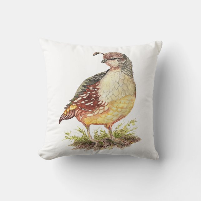 Coussin Aquarelle originale California Quail Garden Bird (Recto)