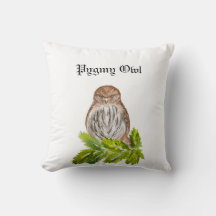 Aquarelle Saw Whet Cute Little Owls