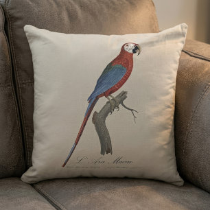 Coussin Ara chloroptère
