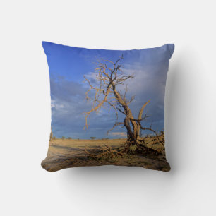 Coussin Arbre épineux du chameau mort (Acacia Erioloba)