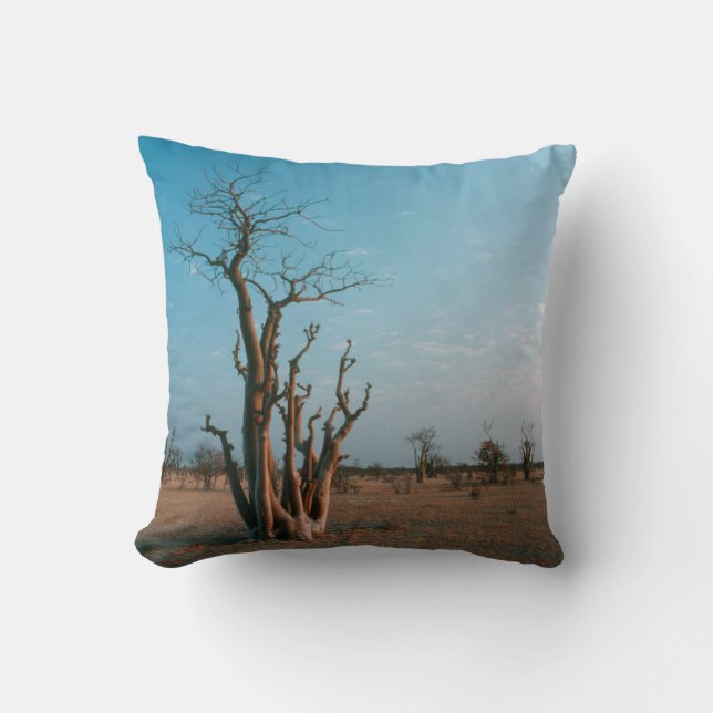 Coussin Arbre Moringo Africain Sur La Plaine, National D'E (Recto)
