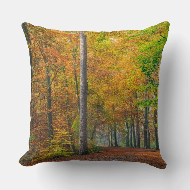 Coussin Arbres avec le feuillage d'automne dans une forêt (Recto)