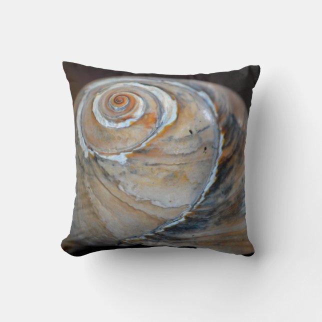 Coussin Arc-en-ciel Moonsnail (Recto)