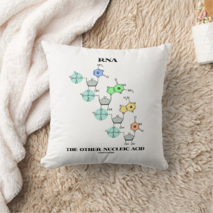 Coussin ARN L'autre Acide Nucléique Structure Chimique