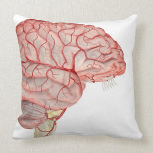 Coussin Artères du cerveau
