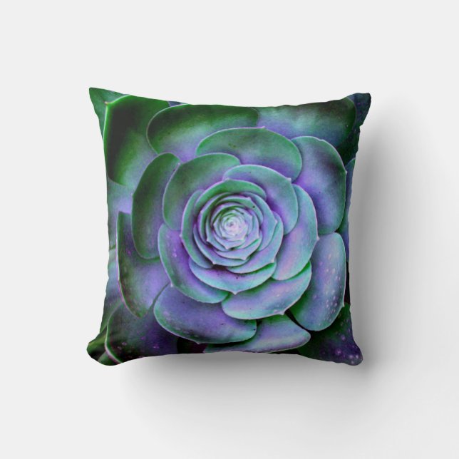 Coussin Artsy Abstrait Succulent (Recto)