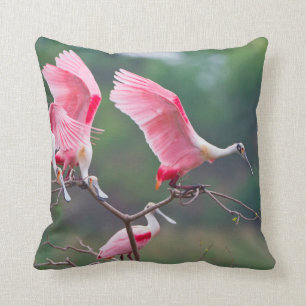 Coussin Atterrissage des spatules de rose (Ajaia Ajaja)
