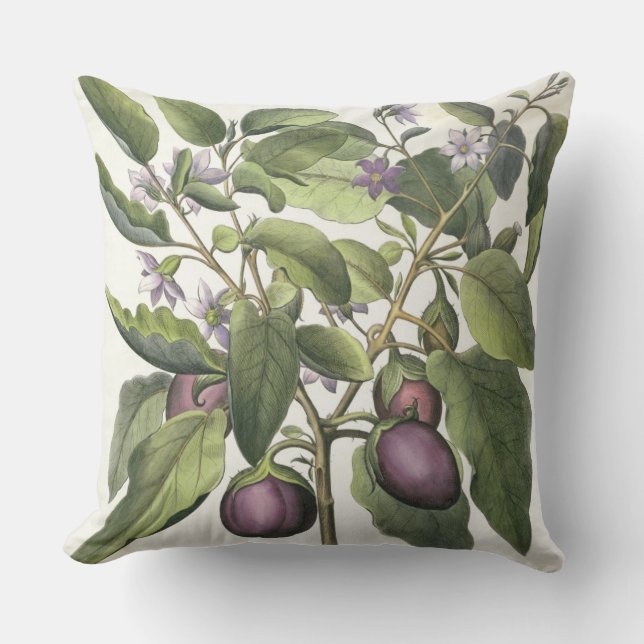 Coussin Aubergine : Pallido de fructu de Melanzana, du (Recto)