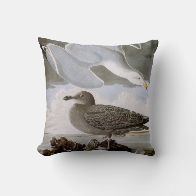 Coussin Audubon : Mouette d'harengs (Recto)