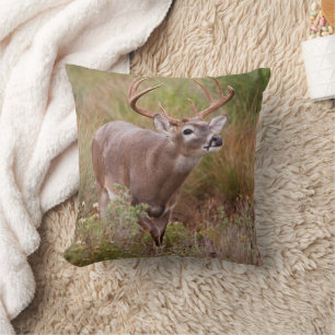 Coussin Automne de cerfs à queue blanche au Texas