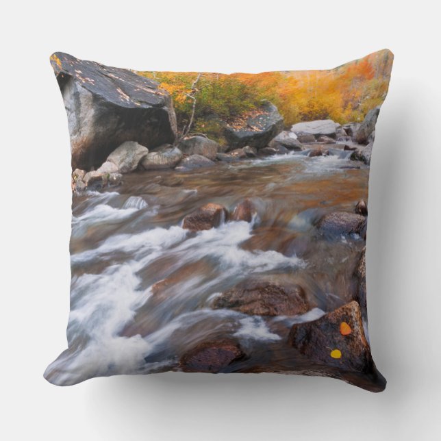 Coussin Automne le long de Bishop Creek, CA (Recto)