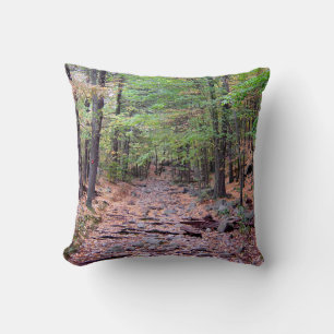 Coussin Automne sur Blue Hills Réservation Red Dot Trail
