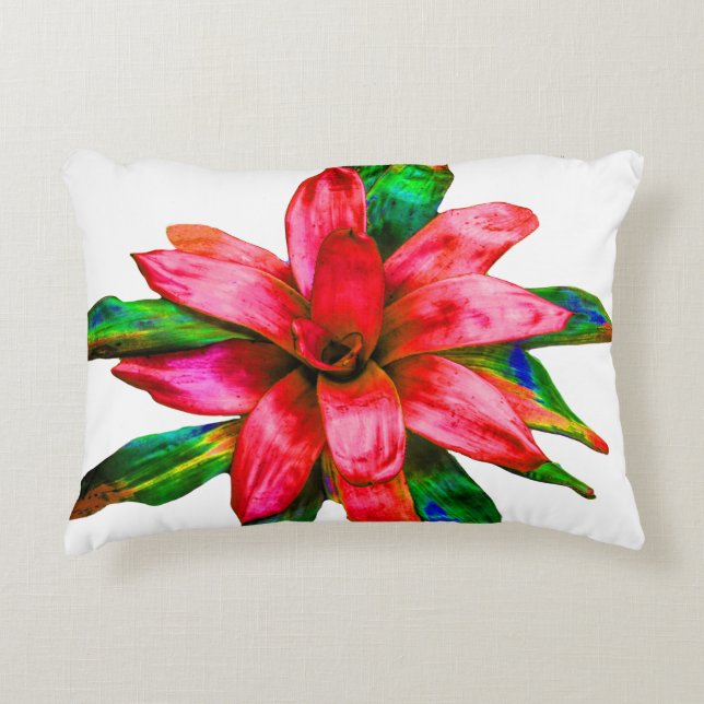 Coussin avec bromeliade rouge (Devant)