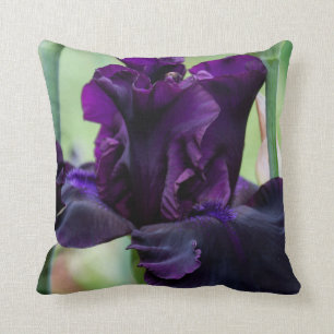 Coussin avec Iris que tu dois toucher.