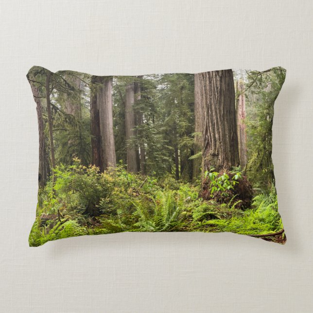 Coussin avec séquoias (Devant)