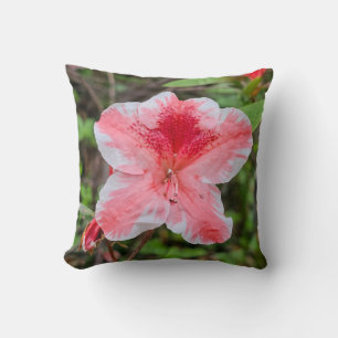 Coussin Azalée Ben Morrison (Rhododendron 'Ben Morrison')