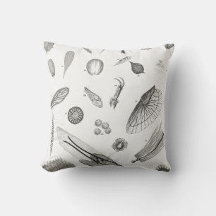 Coussin B&W Science Microbiologie Magnification Microscopi