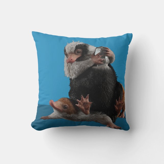 Coussin Baby Nifflers Find A Prize (Recto)
