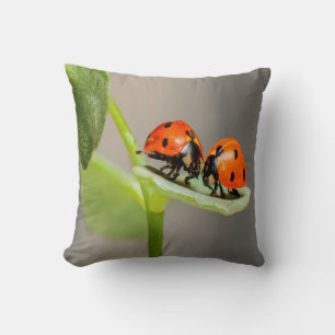 Coussin Baiser Ladybugs