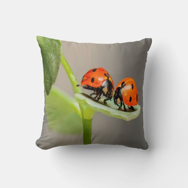 Coussin Baiser Ladybugs (Recto)