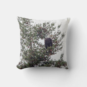 Coussin Bald Eagle P2825