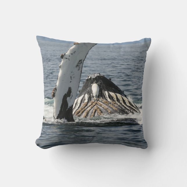 Coussin Baleine à bosse (Recto)