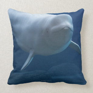 Coussin Baleine de beluga (leucas de Delphinapterus)
