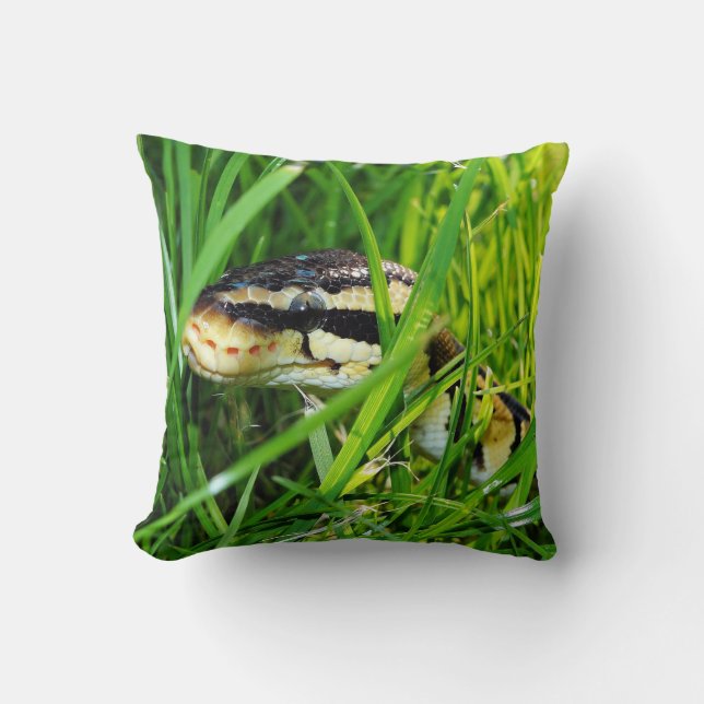 Coussin Ball Python serpent dans l'herbe (Recto)