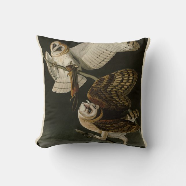 Coussin Barn Owl (Tyto alba) Audubon's Birds of America (Recto)